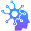 Digital Marketing Strategy and Execution